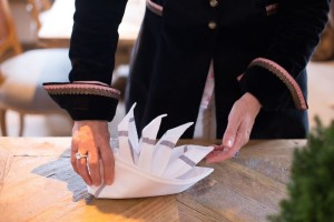 Kaltenbrunn30-Serviette-Single