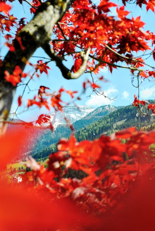 Zillertal 2016 Eindrücke in rot