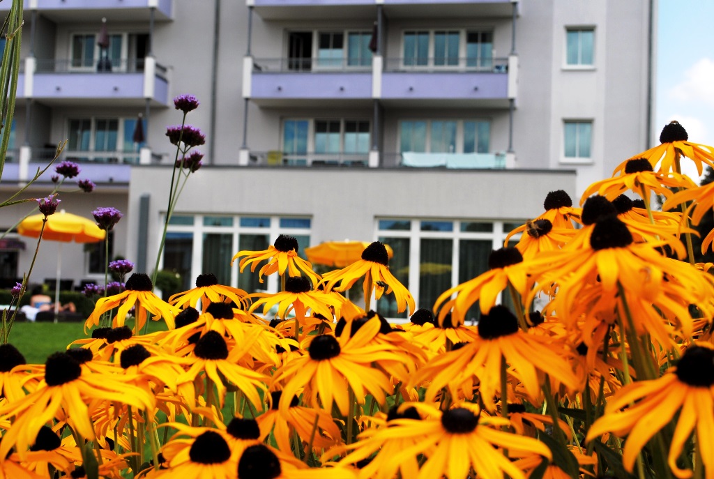 im Garten hinter dem Hotel