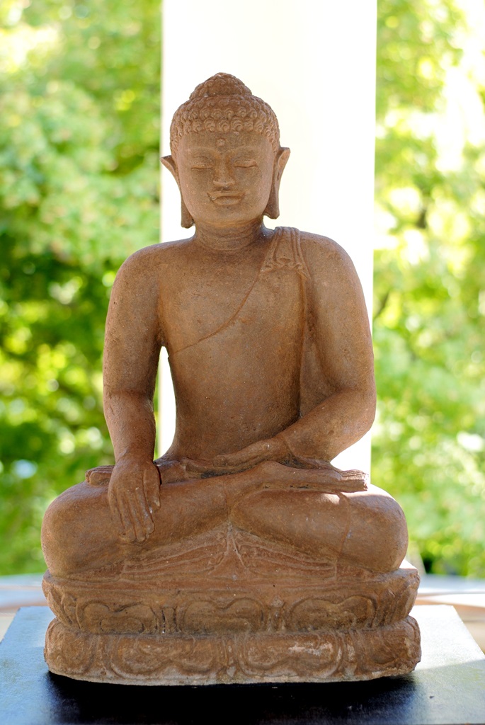 budda-mignon