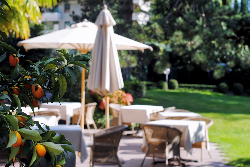 zitrosfruechte-mit-garten-top