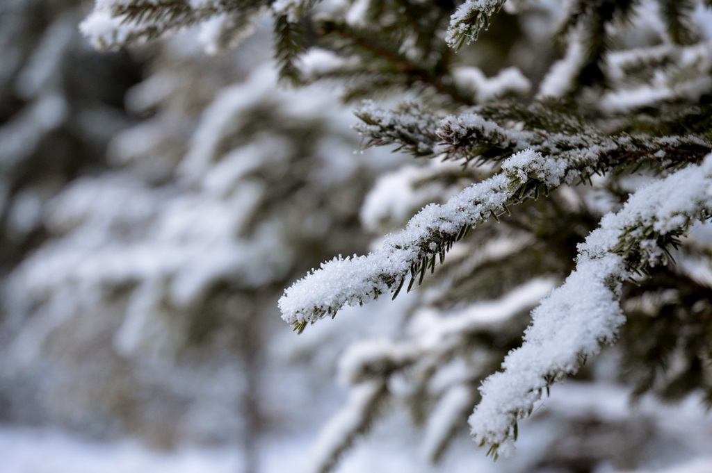 erster-schnee-im-dezember