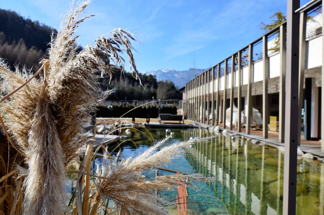 Gartenhotel Moser Hauptbild