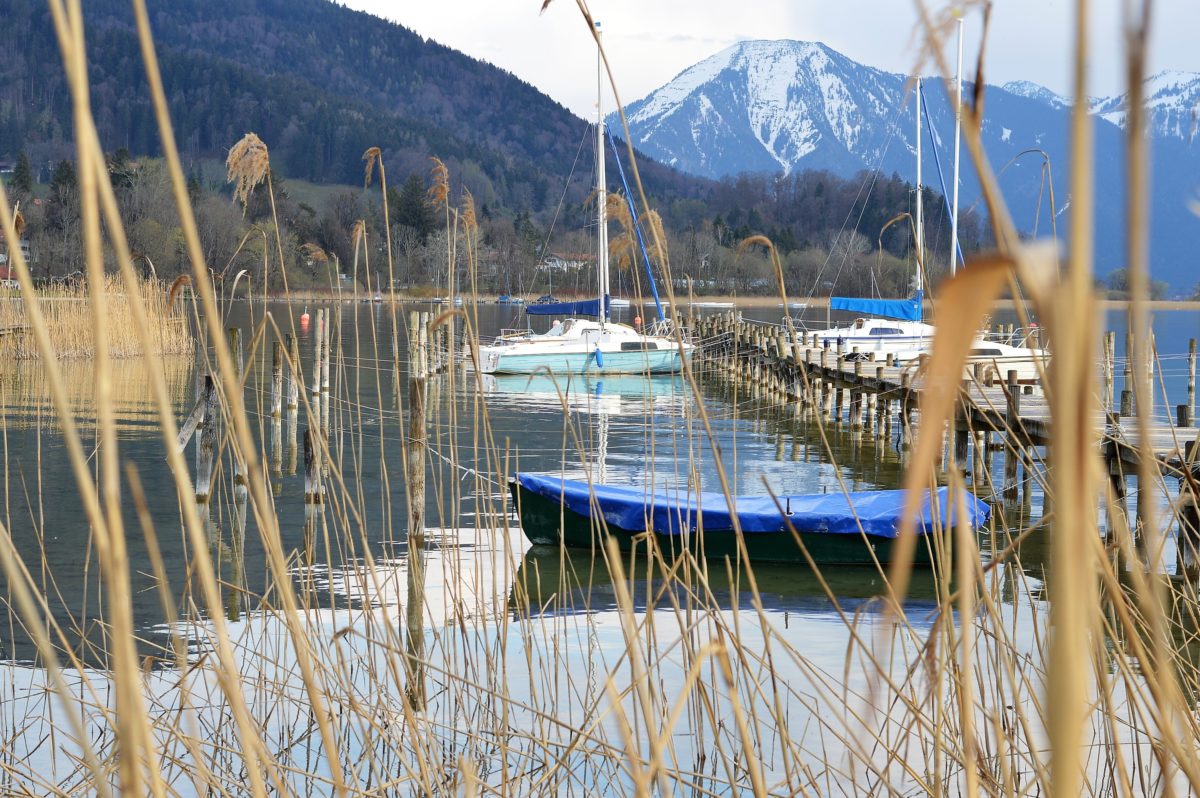 Tegernsee im Frühling