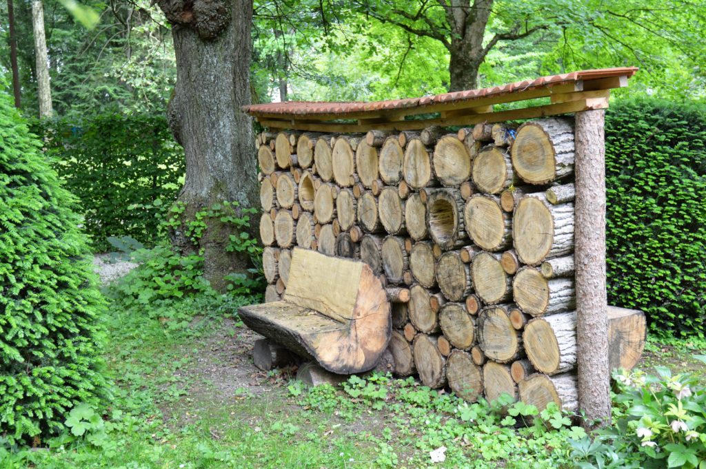 Check your life Programm