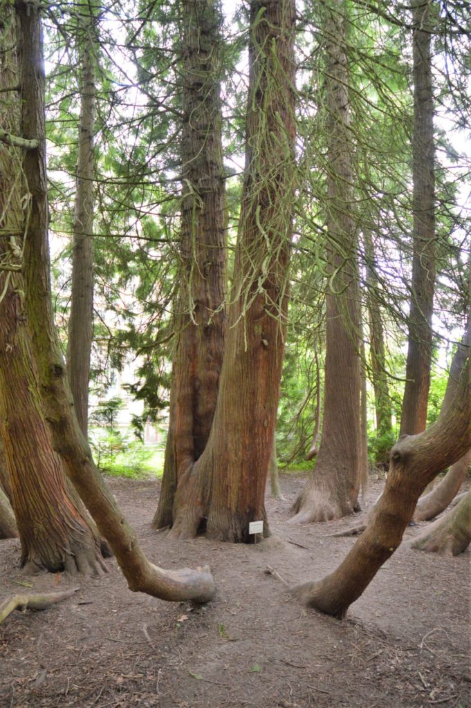 Check your life Waldbaden