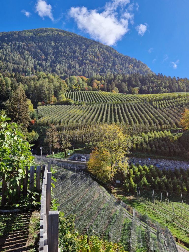 MERAN IM HERBST: MEINE REISETIPPS mit Video